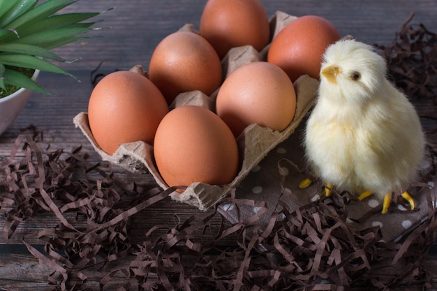 작은 닭 부활절 휴가 개념 부활절 카드와 함께 새장에 소박한 계란