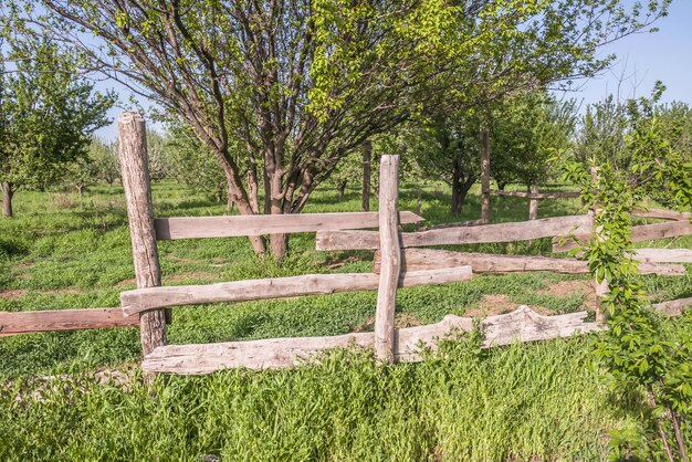 Foto recinzione rustica da vecchie tavole e pali