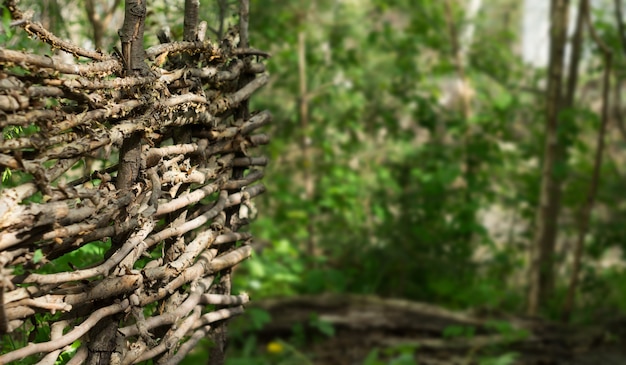 Rustic fence of the interwoven twigs