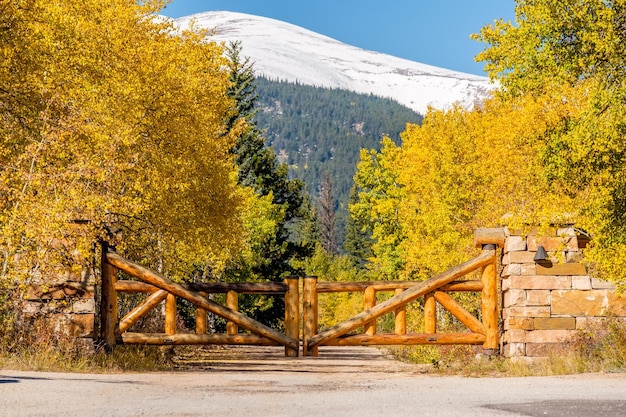 Rustic gate made of logs on unpaved road