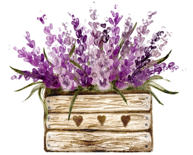 Rustic lavender floral wooden box perfect for wedding invitation and cards, Botanical drawing for spring stickers and flower shops