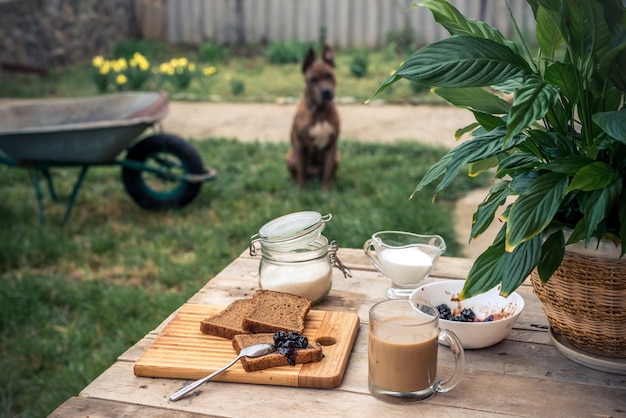 Rustic still life on the background of wheelbarrow