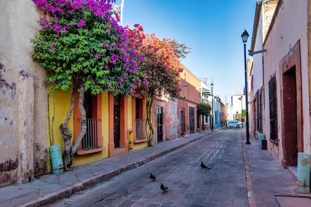 Rustic street with windows and bougainvillea flowers in Queretaro Mexico