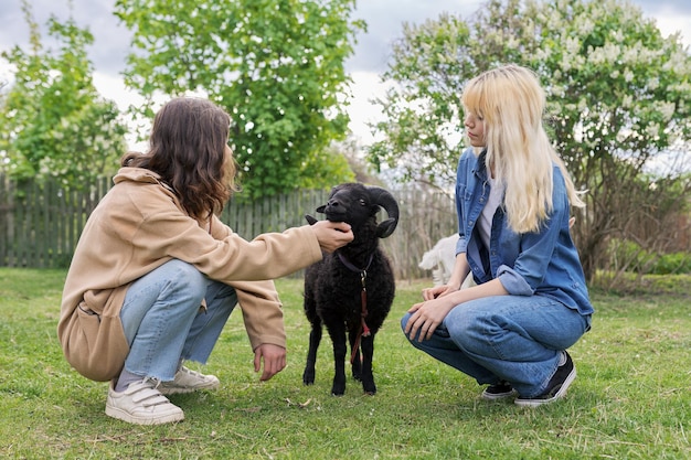 Rustic style small animal farm a couple of teenagers play touching a black ram