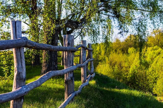 Rustic view with log fence and selective focus