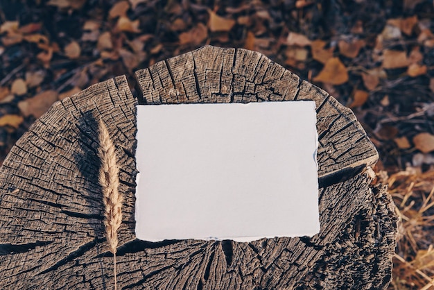 Rustic vintage wedding invitation card mockup White sheet of paper for presentation of your art