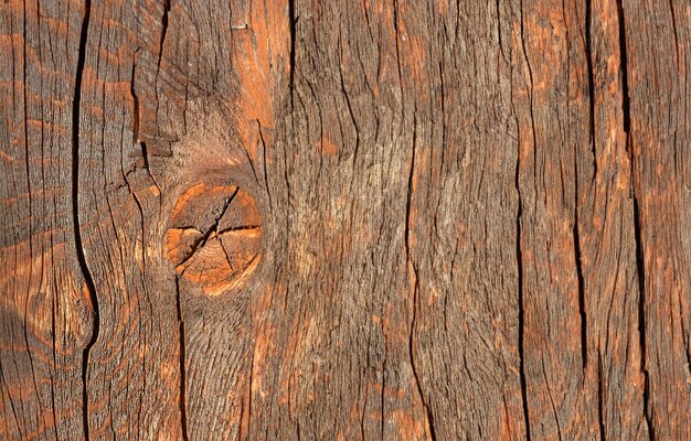 Rustic wood texture background