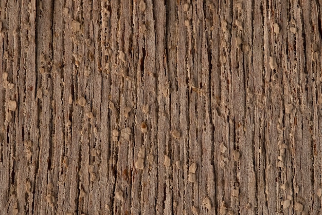 Photo rustic wood texture photo background