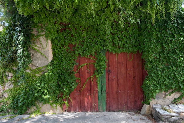 Rustic wooden door