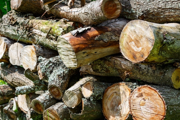 Rustic woodpile of firewood closeup. Abstract background