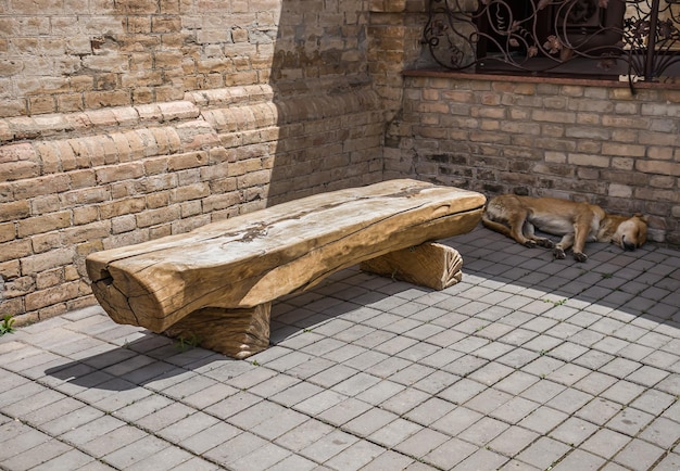 Photo a rusticstyle bench made of halved logs with log legs most often serves in parks outside the city and by the fireplace the undemanding shape and strength of the wood will withstand decades