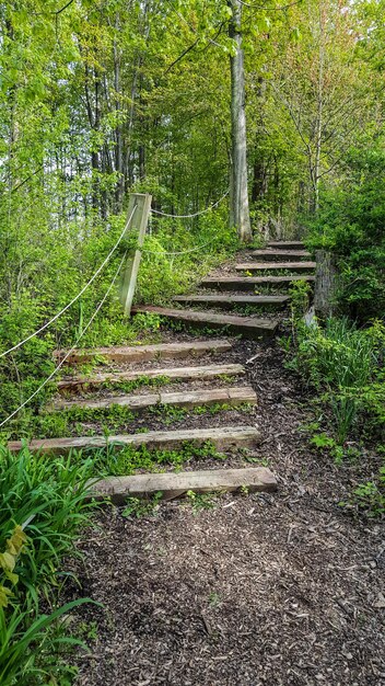 Rustieke houten trappen in de buitenlucht