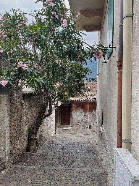 Rustieke Italiaanse architectuur Traditionele historische Europese landelijke gebouwen met houten ramen bloemen en bloeiende bomen Esthetisch reisconcept voor zomervakantie