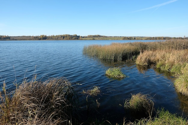 Rustig binnenwater aan een landelijk meer met panoramisch uitzicht naar andere kust in het begin van de herfst