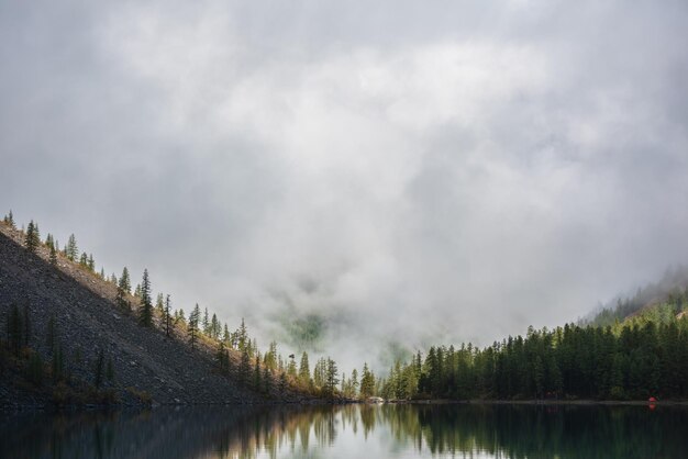 Rustig meditatief landschap van gletsjermeer met puntige dennentoppen reflectie en bosheuvel in dikke lage wolken Grafische EQ van sparren toppen op alpenmeer in dichte mist Bergmeer in de vroege ochtend