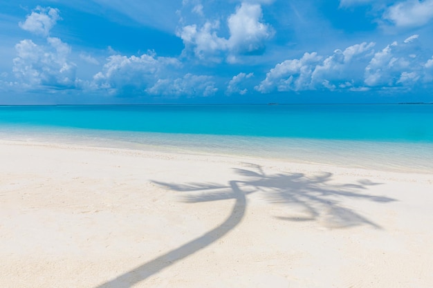 Rustig uitzicht op het strand palmblad schaduw wit zand in de buurt van blauwe zee Exotisch tropisch landschap vredig