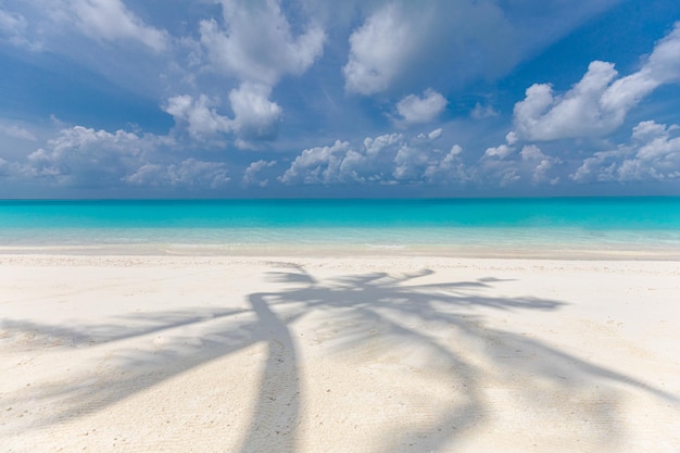 Rustig uitzicht op het strand palmblad schaduw wit zand in de buurt van blauwe zee Exotisch tropisch landschap vredig