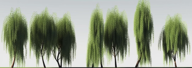 Rustige groene wilgenbomen 3DS Max vectorbestand, perfect voor ontspannende beelden