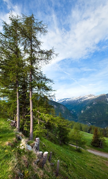 Rustige zomer Alpenberg, uitzicht vanaf de Großglockner Hochalpenstraße