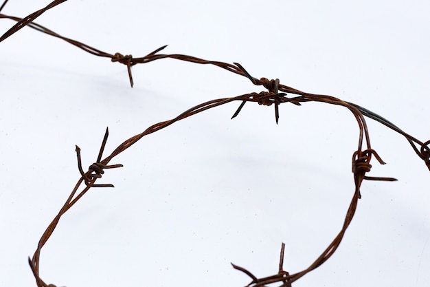 Photo rusty barb wire isolated on white background