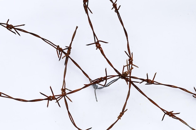 Rusty barb wire isolated on white background