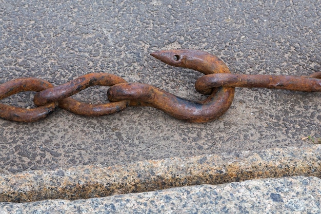 Rusty chain hook closeup