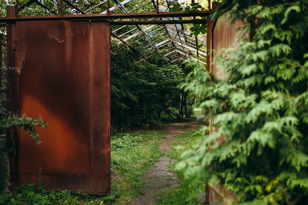 Rusty entrance to the forest