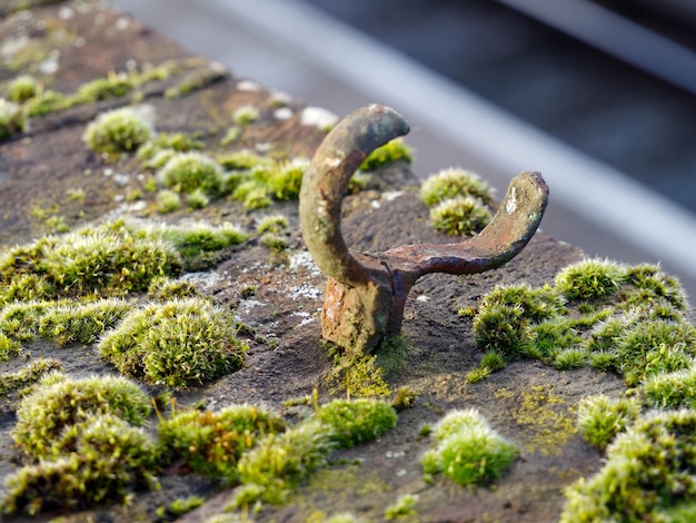 Rusty Ironwork and Moss on a Bridge in Royal Tunbridge Wells