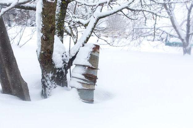 Rusty metal buckets in the yard covered with snow