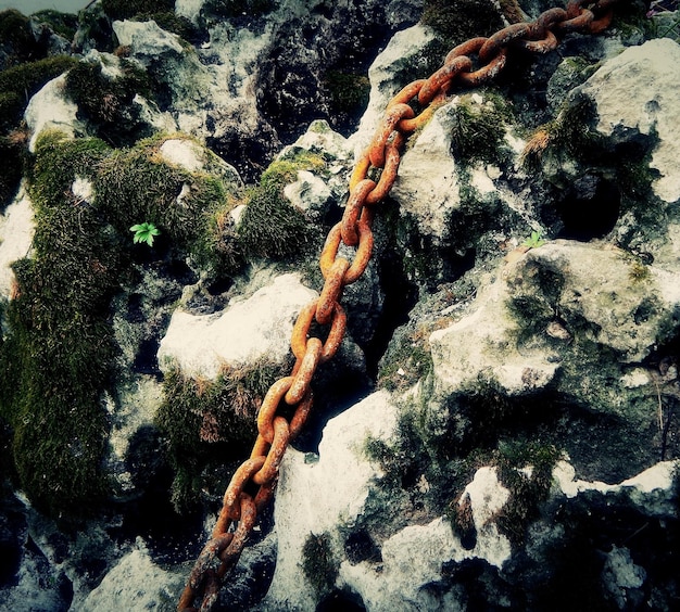 Photo rusty metal chain on the old reef stone with moss