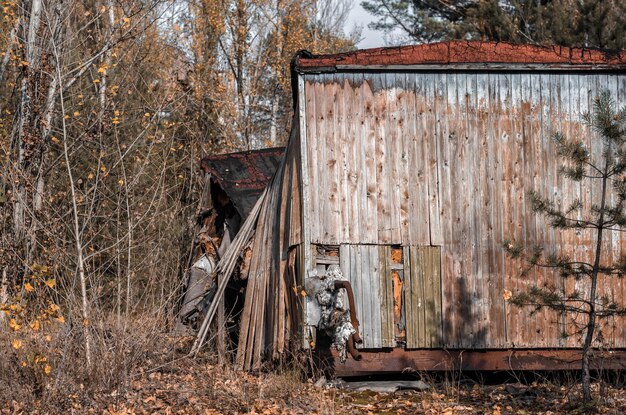 Rusty metallic structure in forest