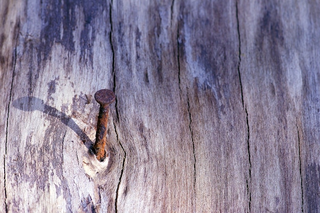 A rusty nail on an old wood log