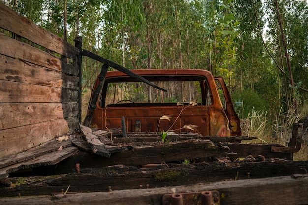 rusty truck in the middle of the forest, urcos, cusco, peru.