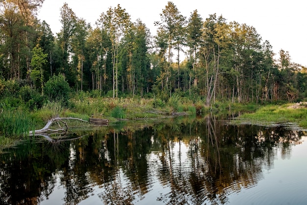 Rustzone. Blauw water in een bosmeer met pijnbomen. Het bos wordt weerspiegeld in het water.