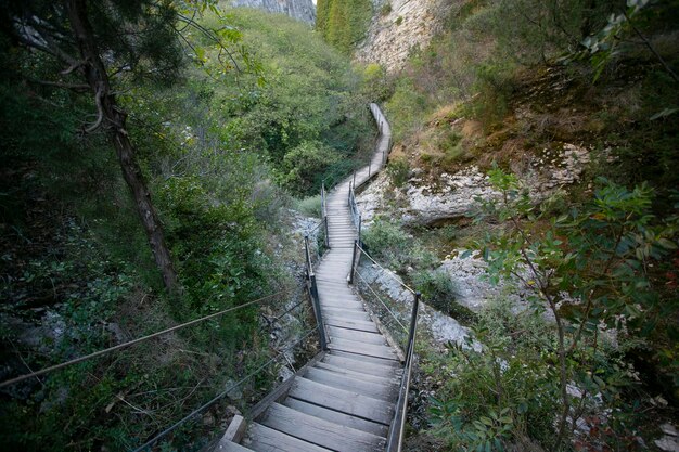 Photo ruta de las pasarelas alquzar beautiful route across the river crossing metal walkways and nature