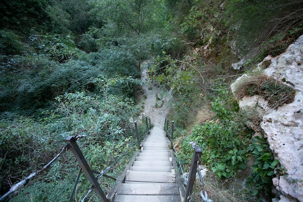 Photo ruta de las pasarelas alquzar beautiful route across the river crossing metal walkways and nature