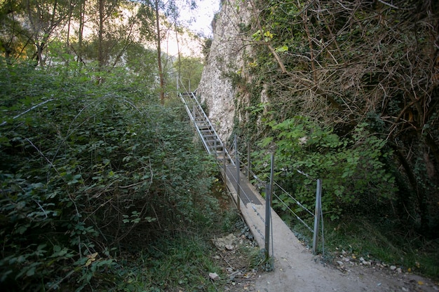 Photo ruta de las pasarelas alquzar beautiful route across the river crossing metal walkways and nature