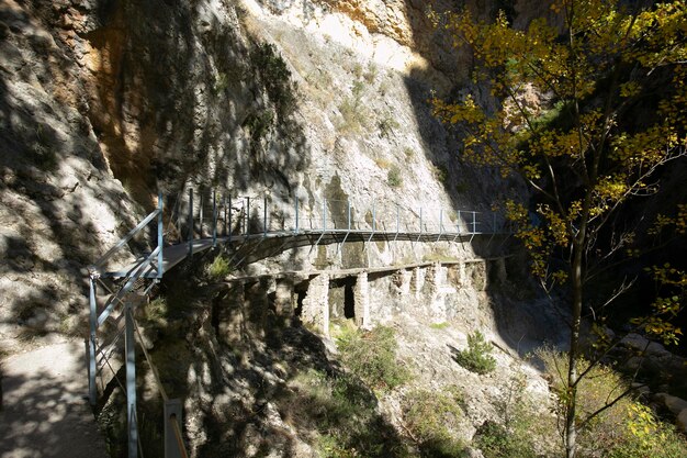 Photo ruta de las pasarelas alquzar beautiful route across the river crossing metal walkways and nature