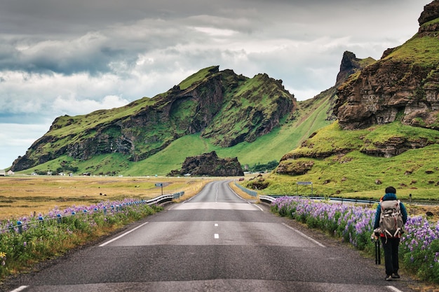 Ruwe berg op de snelweg van de ringweg en lupinebloem die in de zomer langs de weg in IJsland bloeit