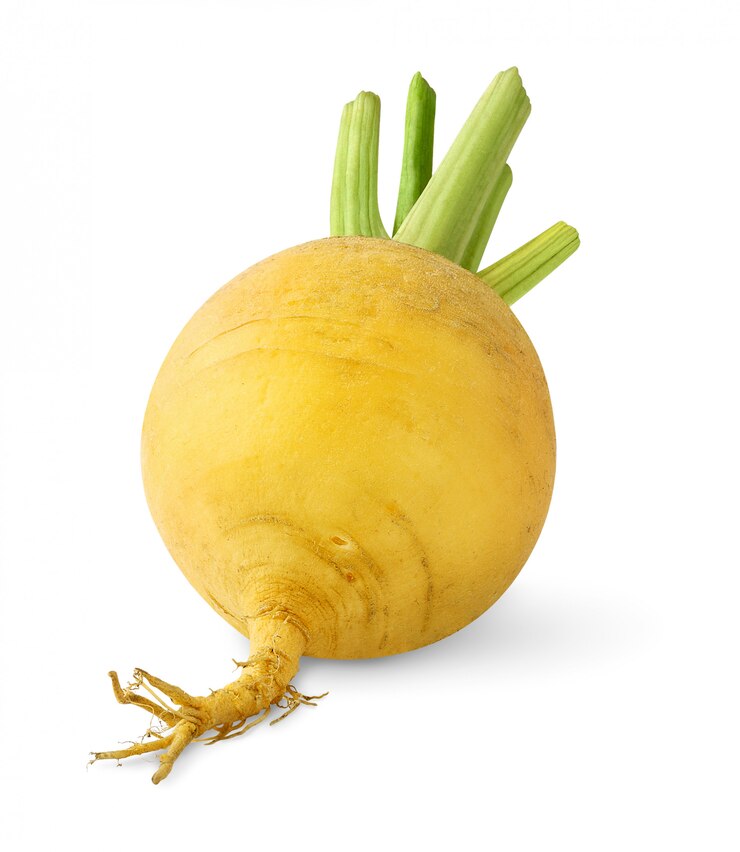 Ruwe gele geïsoleerde raap