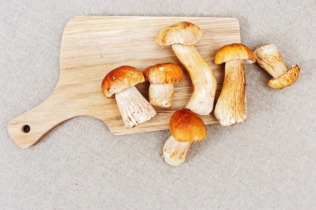 Ruwe paddestoelenboletus edulis op hout.