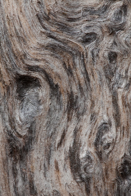 Ruwe textuur van gebogen drijfhout