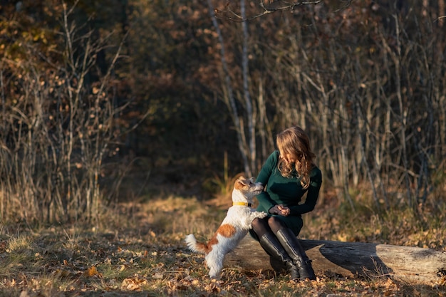 Ruwharige Jack Russell Terrier-puppy staat voor de voeten van een meisje in een herfstpark