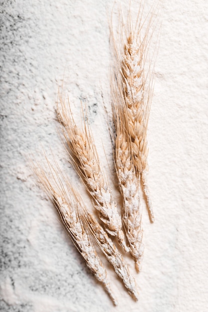 Rye ears on black flour background