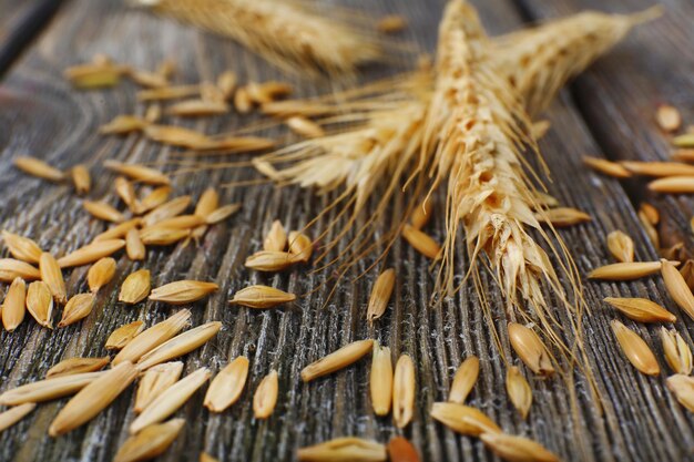 Rye grains and ears on table closeup