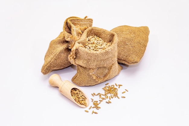 Rye grains isolated on white background