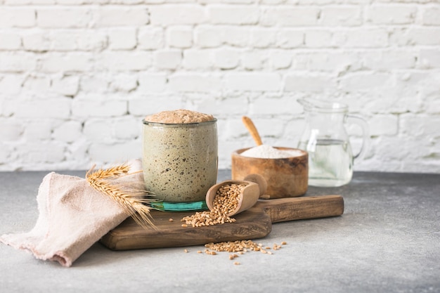 The rye leaven for bread is active Starter sourdough  fermented mixture of water and flour to use as leaven for bread baking The concept of a healthy die