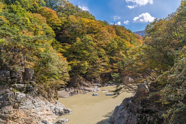 Ryuyo ущелье каньон Nikko Япония