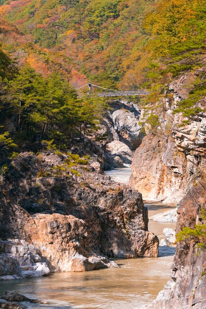 Ryuyo ущелье каньон Nikko Япония