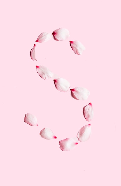 Photo s word with petals on pink background